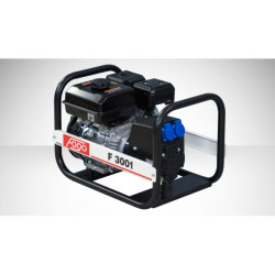 FOGO F 3001 single-phase generator set | Great Price | Online Store - Norwit.pl