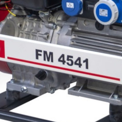 FOGO FM 4541 single-phase generator set | Great Price | Online Store - Norwit.pl