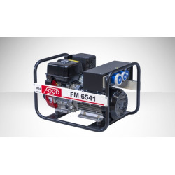 FOGO FM 6541 Single-Phase Generator Set