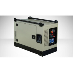 FOGO FV 10001 CRA Single-Phase Generator Set