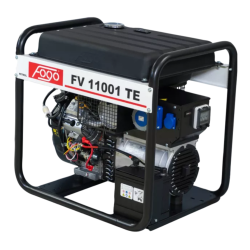 FOGO FV 11001 TE Single-Phase Generator Set