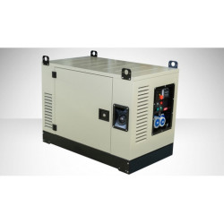 FOGO FV 17001 CRA Single-Phase Generator Set