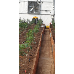 Master BV 400 oil heater with exhaust outlet | Great Price | Online Store - Norwit.pl