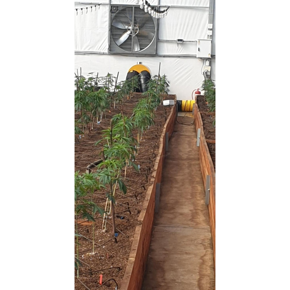 Nagrzewnica olejowa z odprowadzeniem spalin Master BV 400 | Dobra Cena | Sklep Online - Norwit.pl