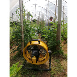 Wentylator Master DFB 16 | Great Price | Online Store - Norwit.pl