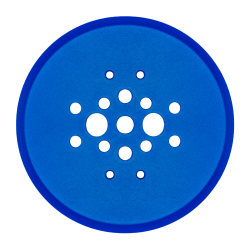 Tarcza szlifierska Toolsa TSC 250 do miękkiego betonu | NORWIT.PL